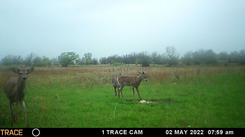 Enlarged photo by BR Outfitters