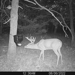 Photo by BR Outfitters