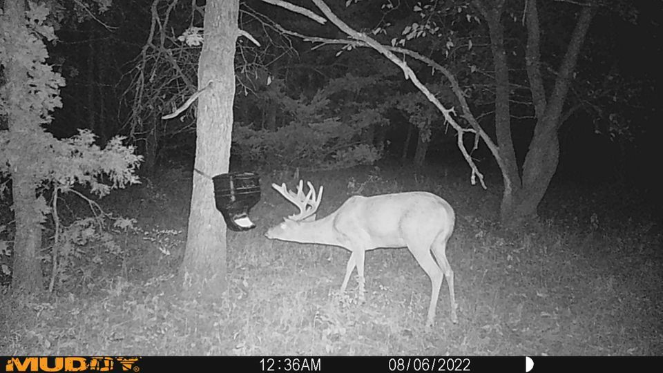 Enlarged photo by BR Outfitters