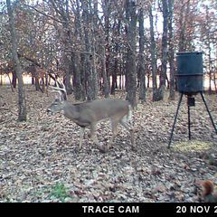 Photo by BR Outfitters