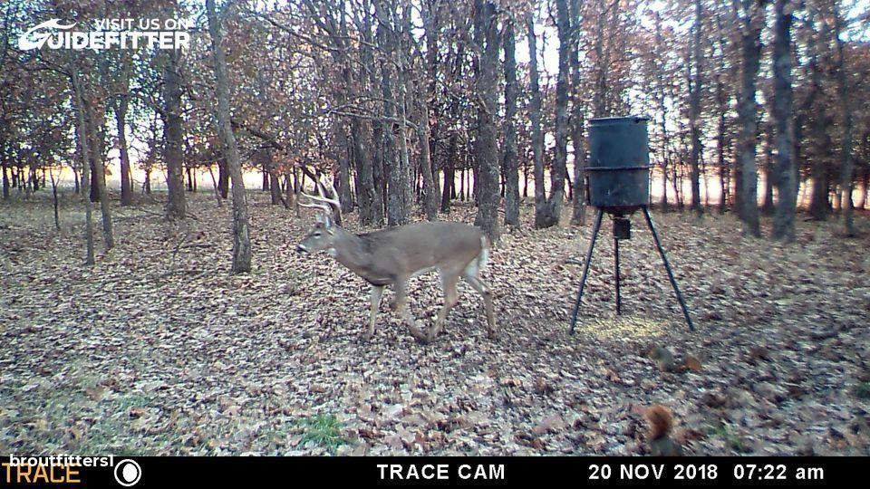 Enlarged photo by BR Outfitters