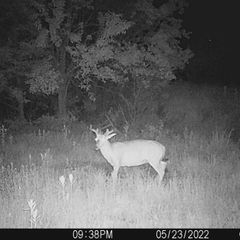 Photo by BR Outfitters