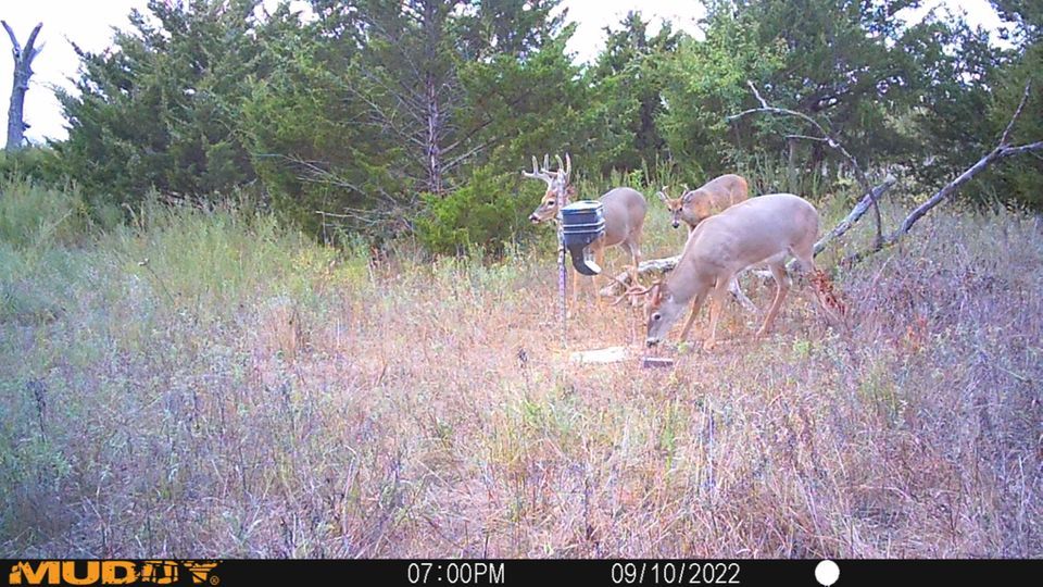 Enlarged photo by BR Outfitters