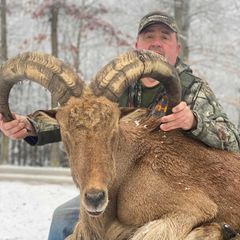 Photo by Dream Mountain Hunting