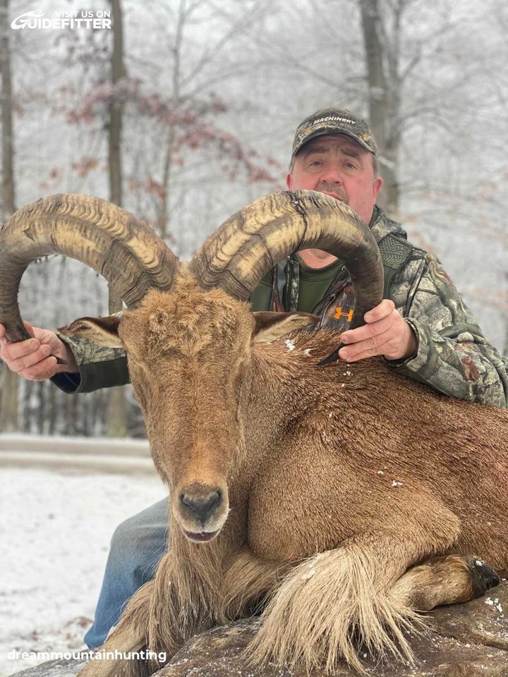 Enlarged photo by Dream Mountain Hunting