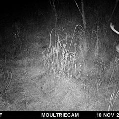 Photo by BR Outfitters