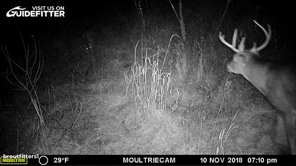 Enlarged photo by BR Outfitters