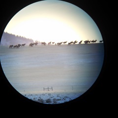 Photo by Rawhide Guide Service