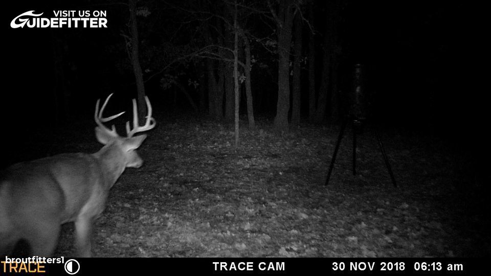 Enlarged photo by BR Outfitters