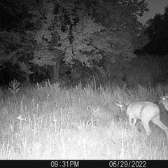 Photo by BR Outfitters