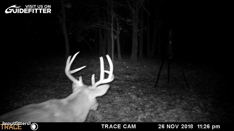 Enlarged photo by BR Outfitters