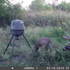 Photo by BR Outfitters