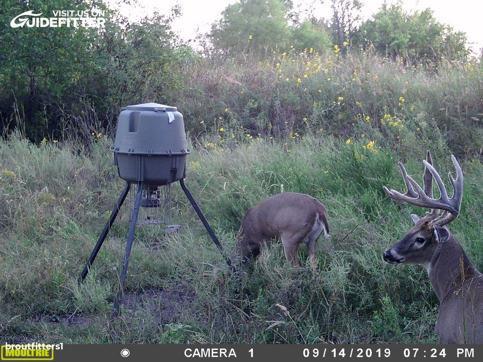 Enlarged photo by BR Outfitters