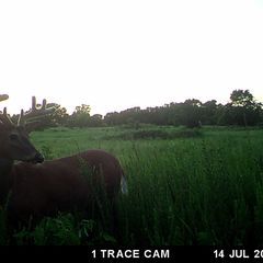 Photo by BR Outfitters