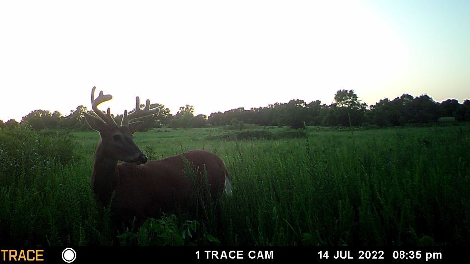 Enlarged photo by BR Outfitters