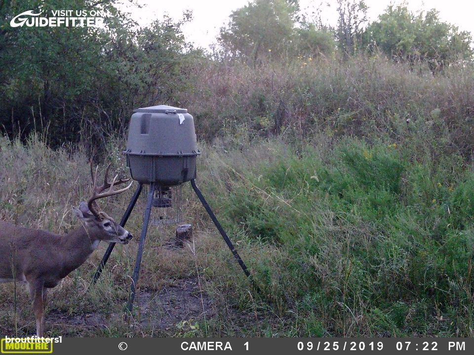 Enlarged photo by BR Outfitters