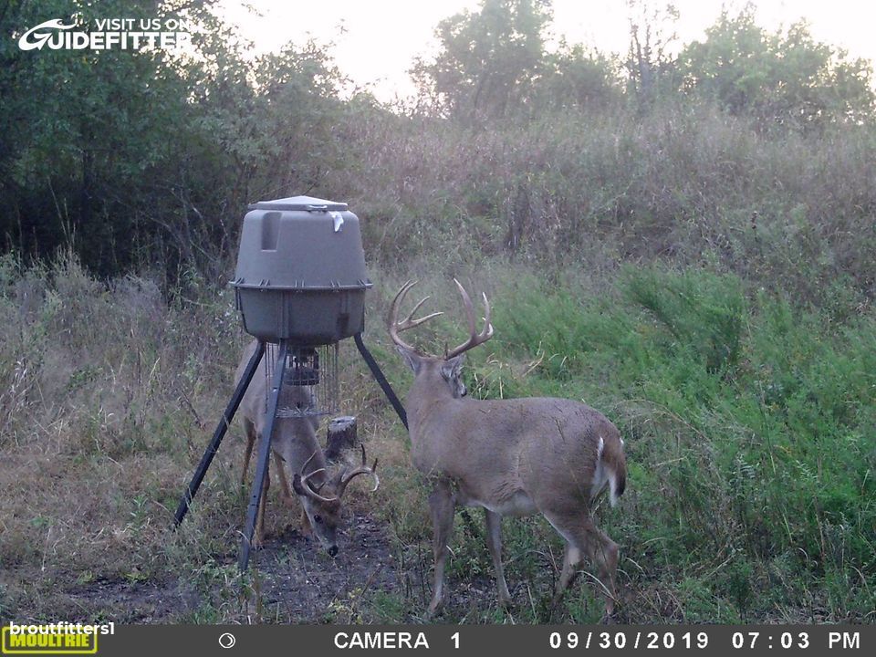 Enlarged photo by BR Outfitters