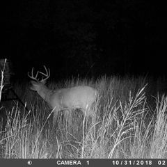 Photo by BR Outfitters