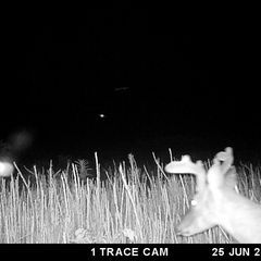 Photo by BR Outfitters