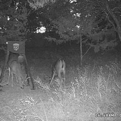 Photo by BR Outfitters