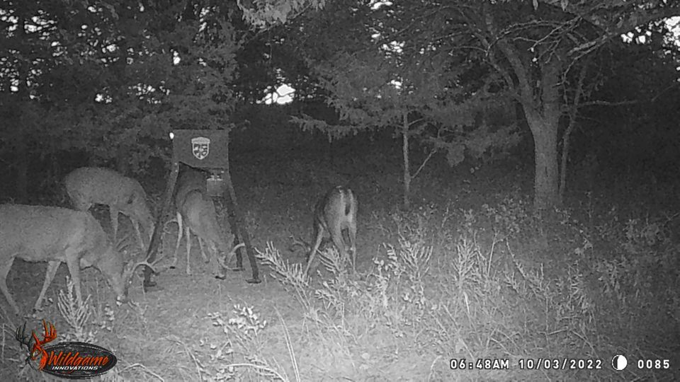 Enlarged photo by BR Outfitters