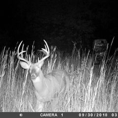 Photo by BR Outfitters