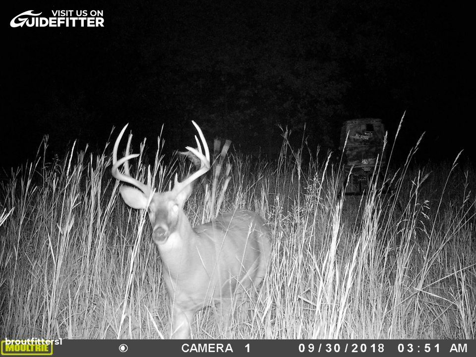 Enlarged photo by BR Outfitters