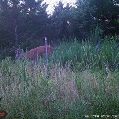 Photo by BR Outfitters