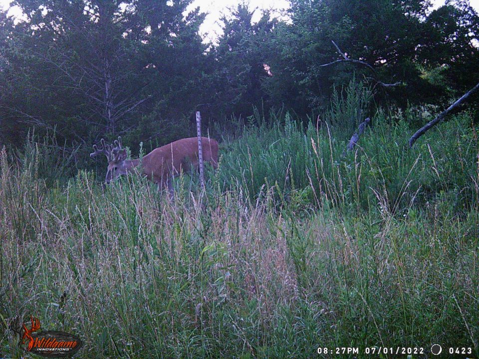 Enlarged photo by BR Outfitters