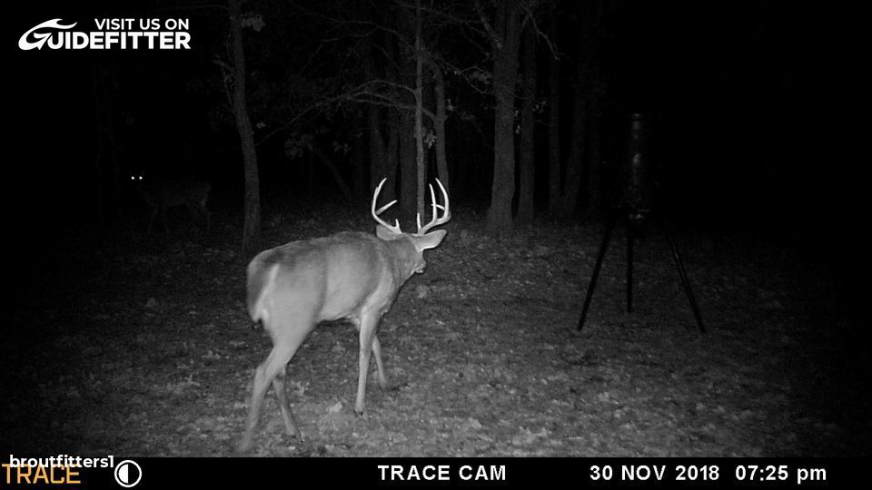 Enlarged photo by BR Outfitters