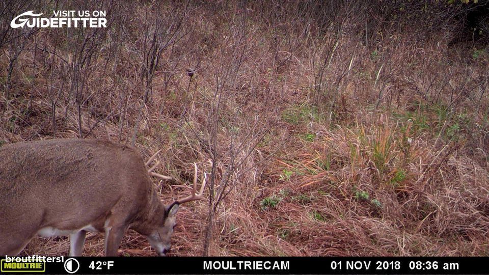 Enlarged photo by BR Outfitters