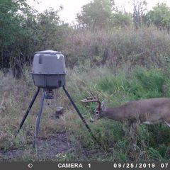 Photo by BR Outfitters