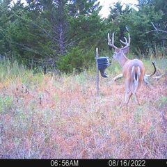 Photo by BR Outfitters