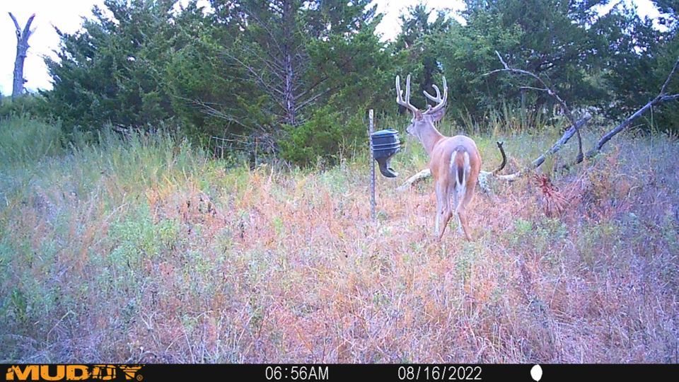 Enlarged photo by BR Outfitters