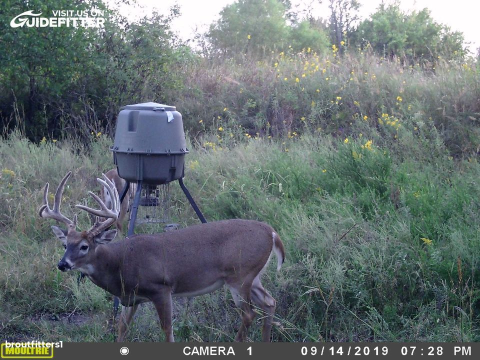 Enlarged photo by BR Outfitters