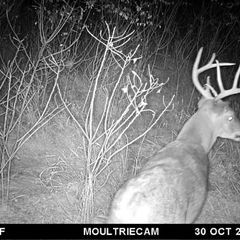 Photo by BR Outfitters