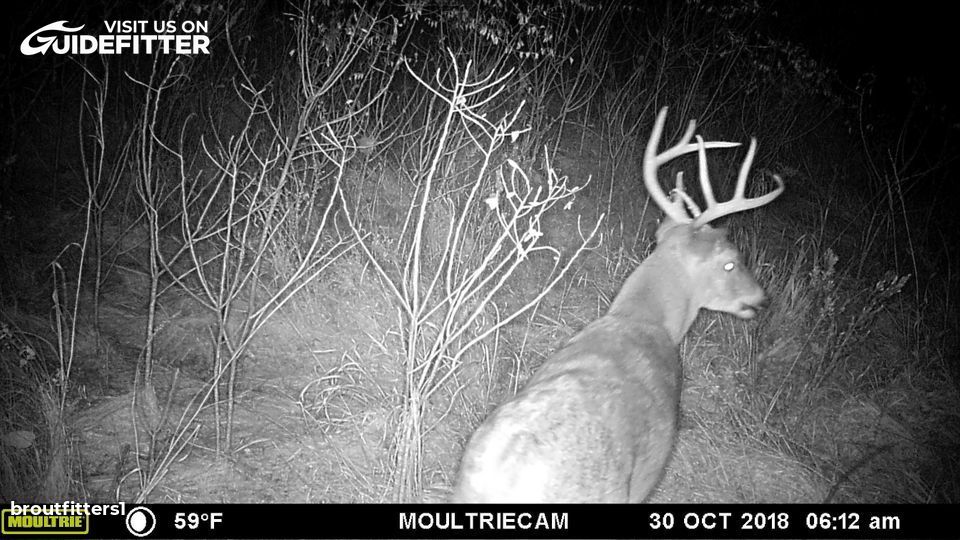 Enlarged photo by BR Outfitters