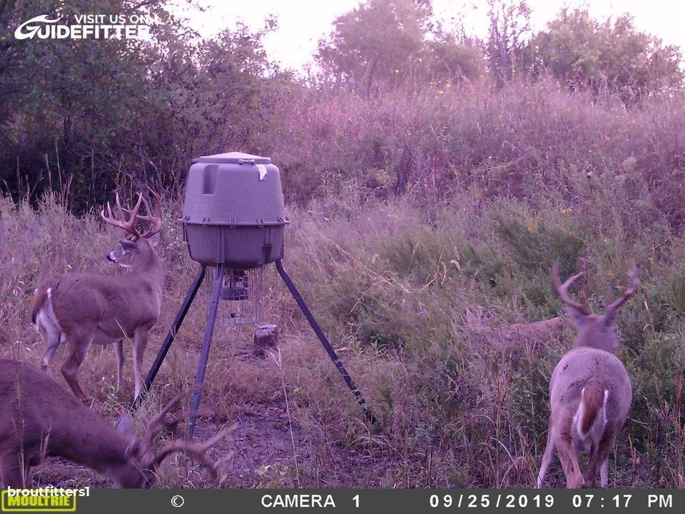 Enlarged photo by BR Outfitters