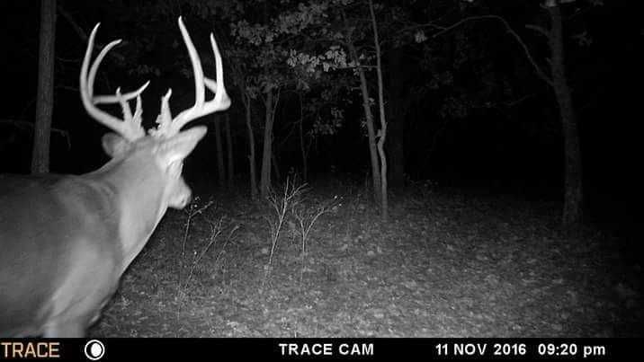 Enlarged photo by BR Outfitters