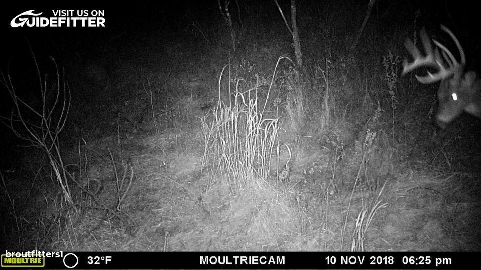 Enlarged photo by BR Outfitters