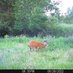 Photo by BR Outfitters