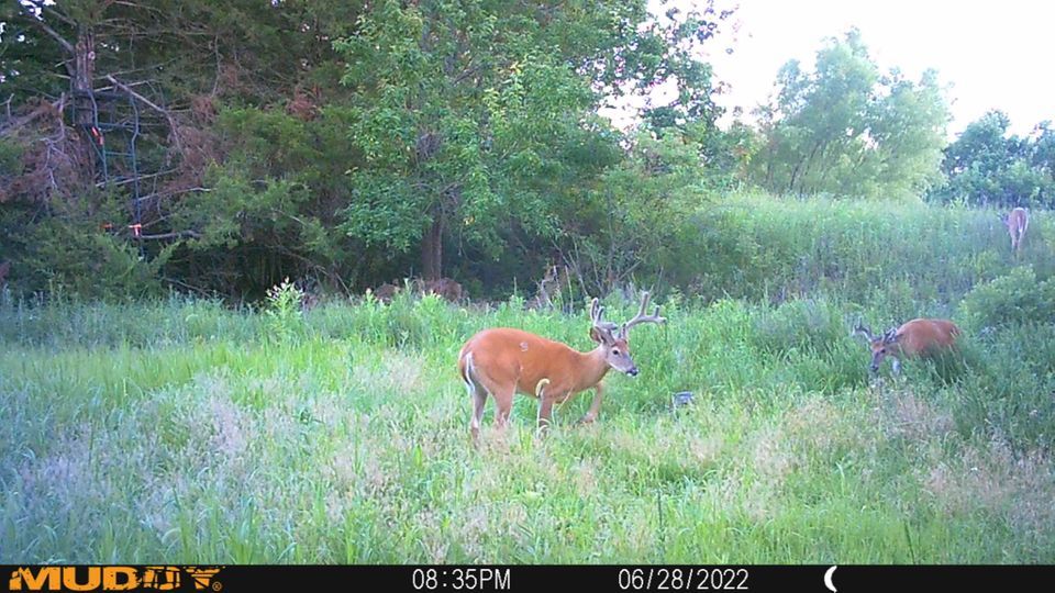 Enlarged photo by BR Outfitters