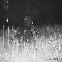 Photo by BR Outfitters