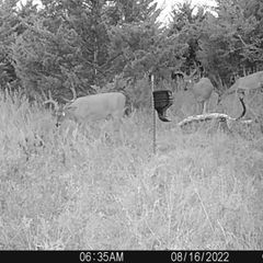 Photo by BR Outfitters