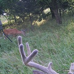 Photo by BR Outfitters