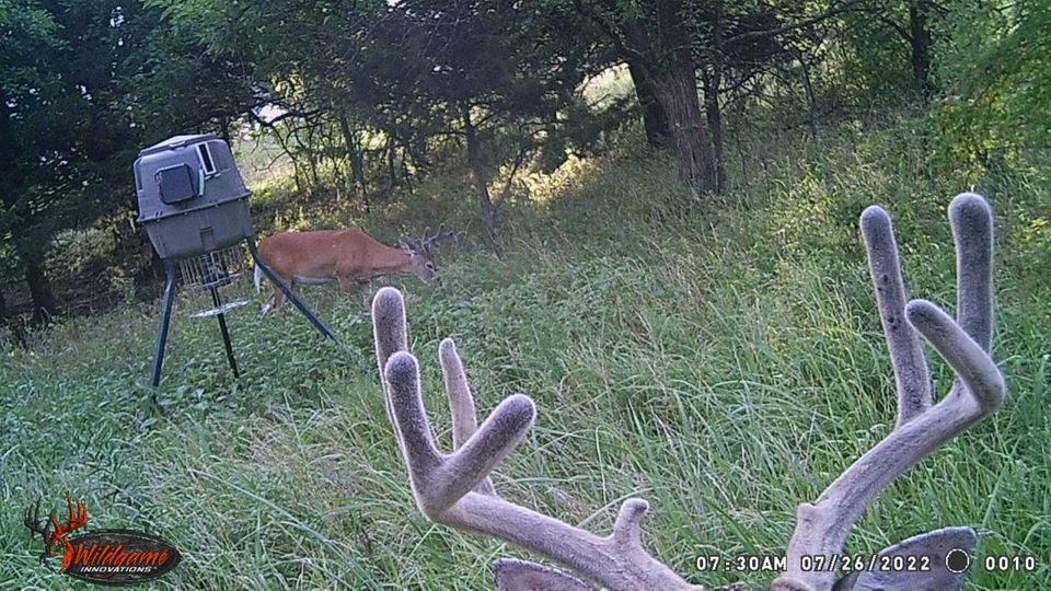 Enlarged photo by BR Outfitters