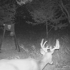 Photo by BR Outfitters