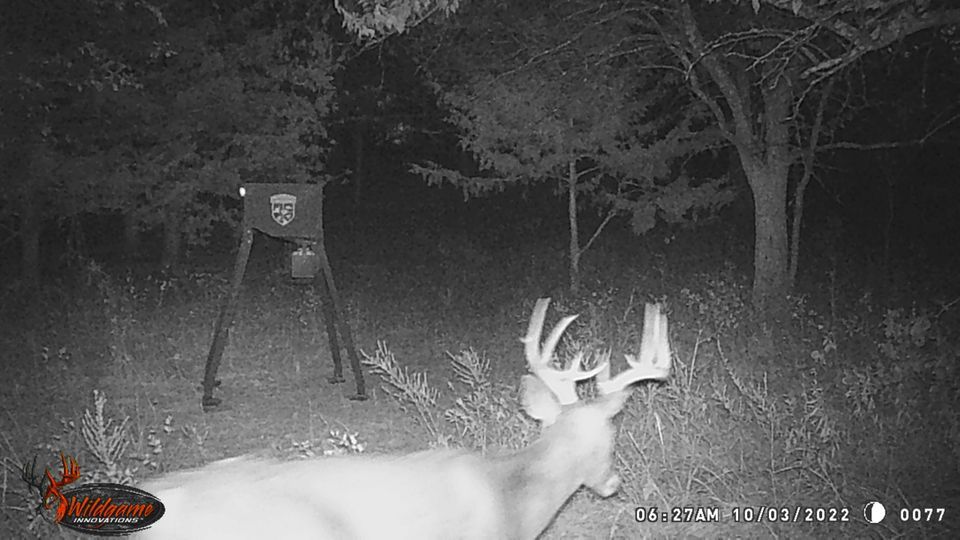 Enlarged photo by BR Outfitters