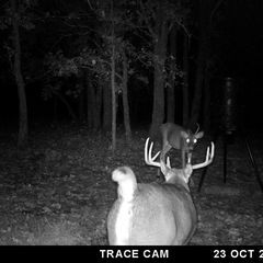 Photo by BR Outfitters