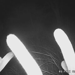 Photo by BR Outfitters